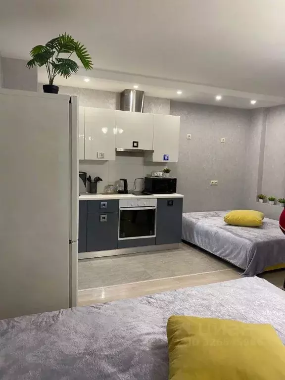 Студия Иркутская область, Иркутск бул. Рябикова, 36/2 (33.0 м) - Фото 1