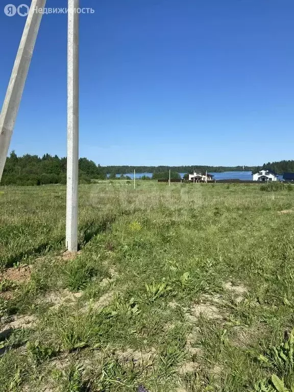 Участок в Вологодская область, Белозерский муниципальный округ, ... - Фото 1