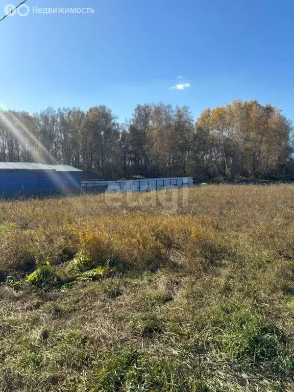 Участок в село Берёзово, Цветочная улица (15 м) - Фото 1