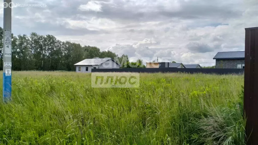 Участок в Московская область, Раменский муниципальный округ, село ... - Фото 2