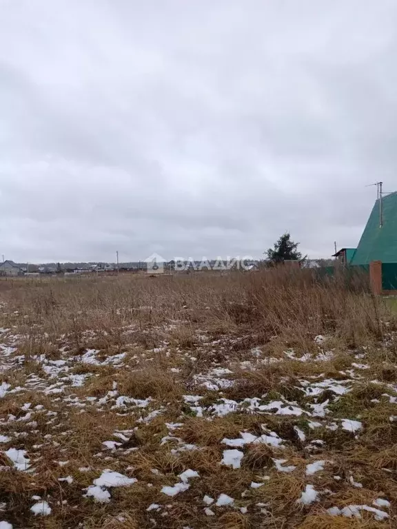 Участок в Новосибирская область, Мошковский район, с. Локти Советская ... - Фото 1