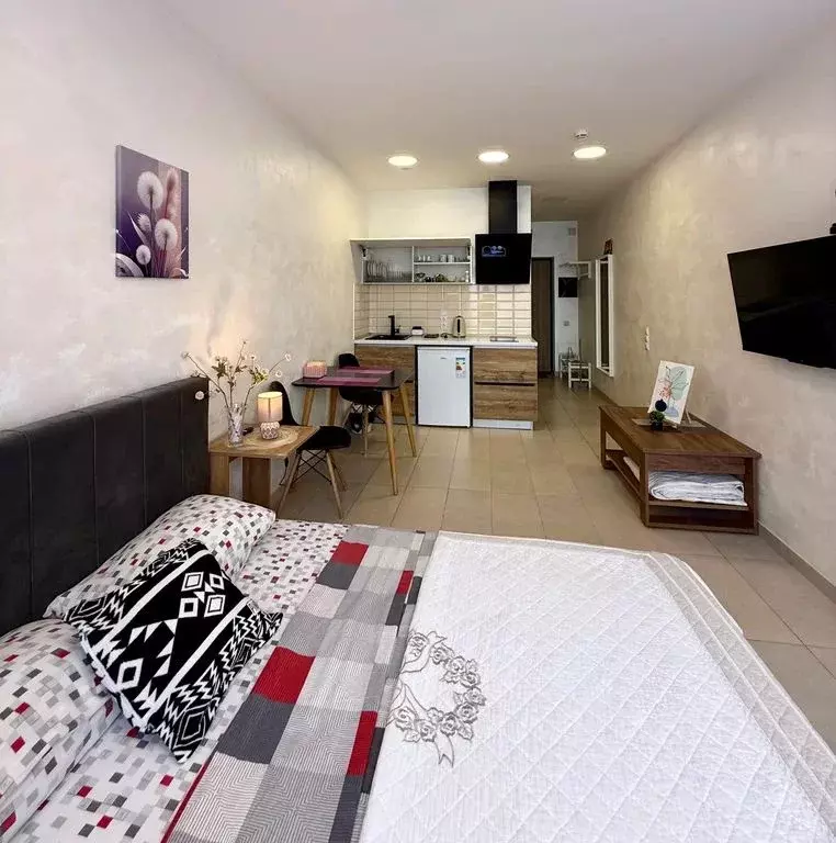 Студия Крым, Симферополь ул. Беспалова, 110К (28.0 м) - Фото 2