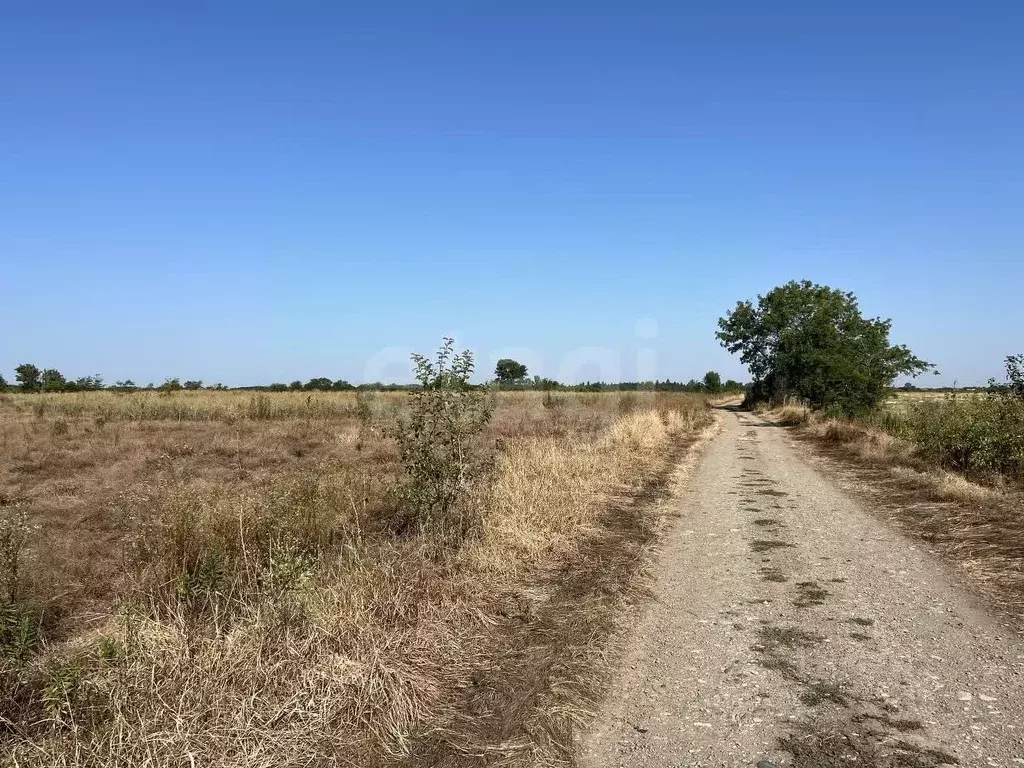 Участок в Адыгея, Майкоп городской округ, пос. Северный ул. Школьная ... - Фото 1