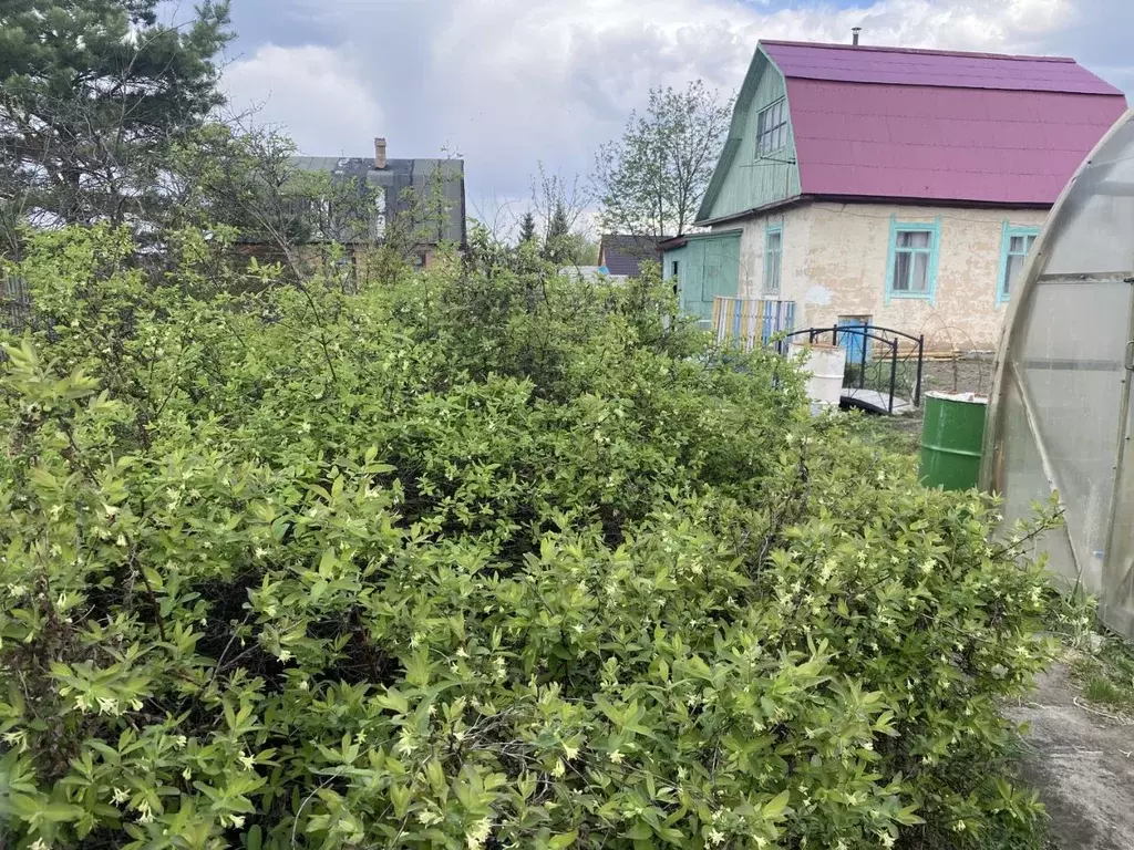 Дачи СНТ Луговой. СНТ Луговая Одинцовский район сайт. СНТ Луговой Владимирская область. СНТ Луговое Волоколамский район. Купить дачу снт луговое