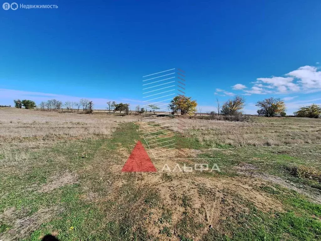 Участок в Сакский район, Молочненское сельское поселение, село ... - Фото 1