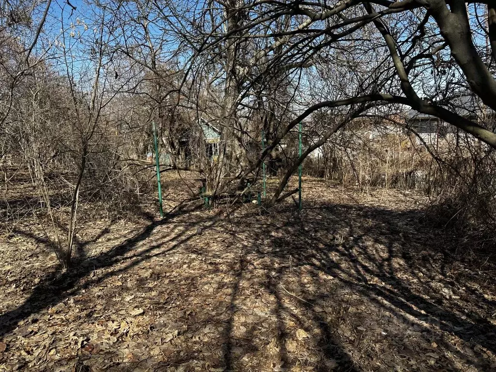 Участок в Северная Осетия, Владикавказ Учитель СТ, 303/1 (6.0 сот.) - Фото 2