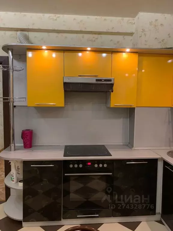 1-к кв. Забайкальский край, Чита ул. Шилова, 29 (60.0 м) - Фото 2