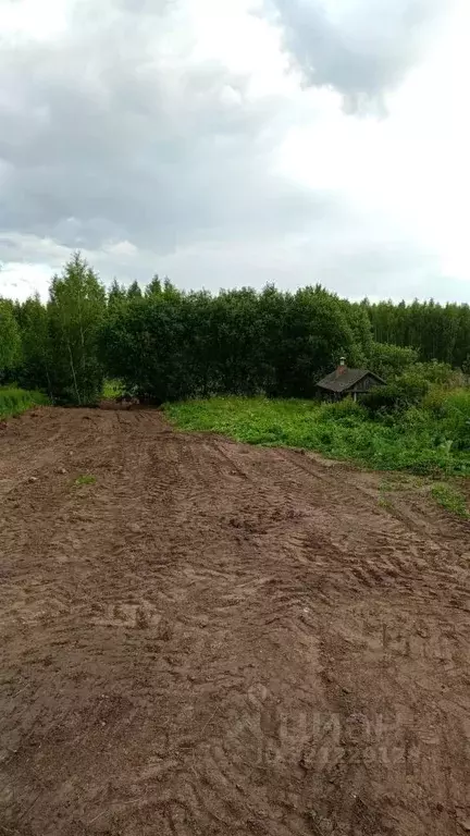 Участок в Ярославская область, Некрасовский муниципальный округ, д. ... - Фото 1