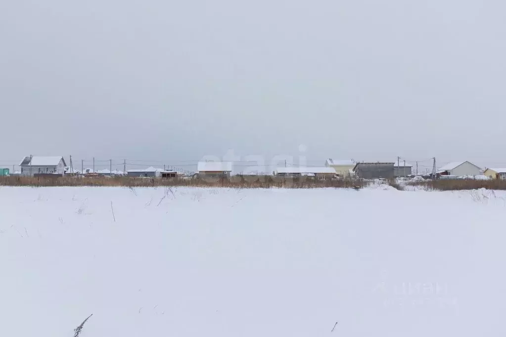 Участок в Тюменская область, Тюменский муниципальный округ, Садовые ... - Фото 2