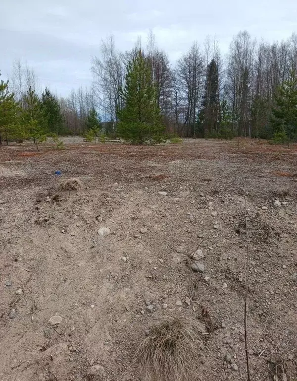 Участок в Ленинградская область, Выборг пер. Графский (12.0 сот.) - Фото 2