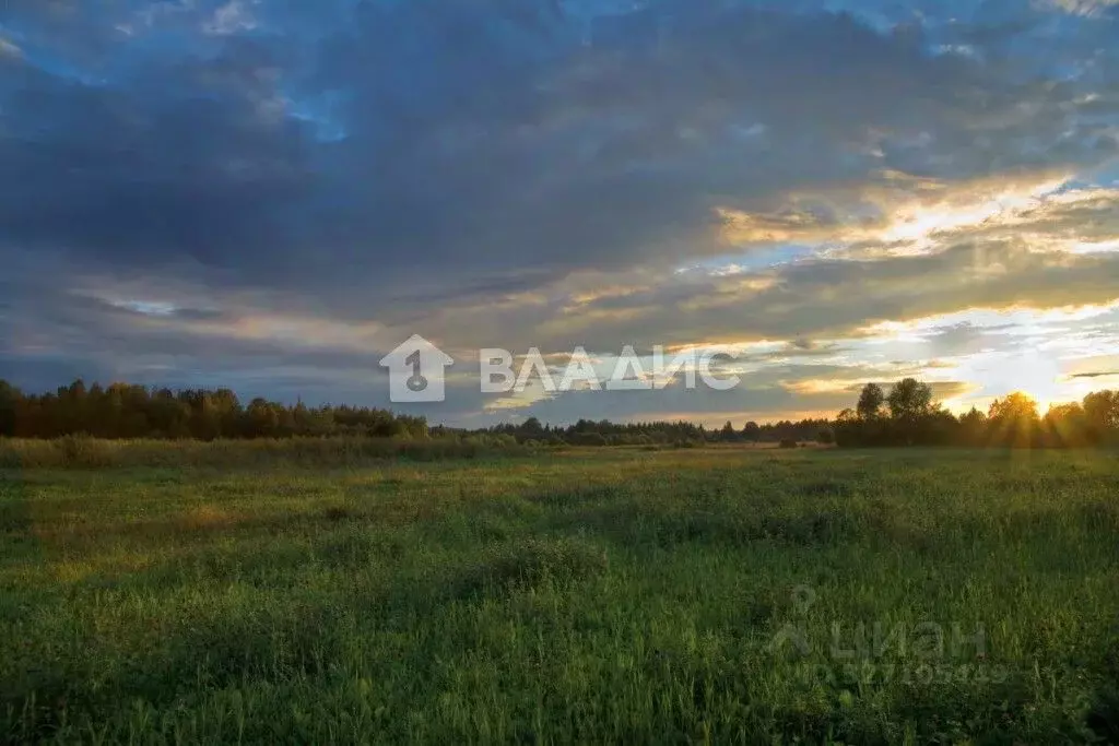 Участок в Нижегородская область, Богородский муниципальный округ, с. ... - Фото 1