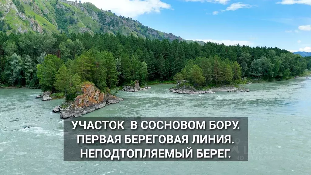 Участок в Алтайский край, Алтайский район, пос. Катунь Советская ул. ... - Фото 0