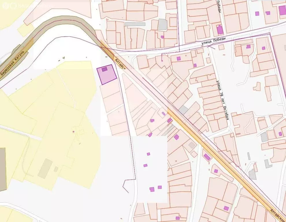 Участок в Алтайский район, Айский сельсовет, село Ая (20 м) - Фото 1