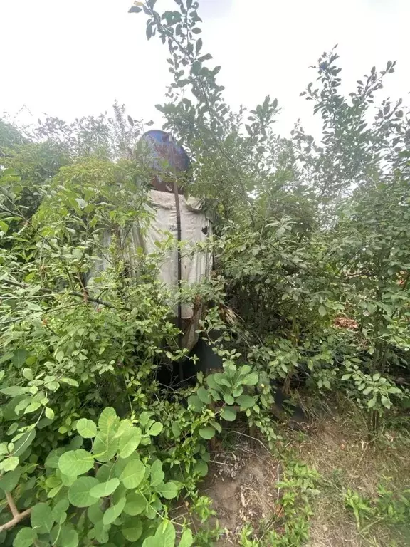 Дом в Волгоградская область, Городищенский район, Ерзовское городское ... - Фото 2