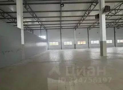 Склад в Ленинградская область, Отрадное Кировский район, Ленинградское ... - Фото 1