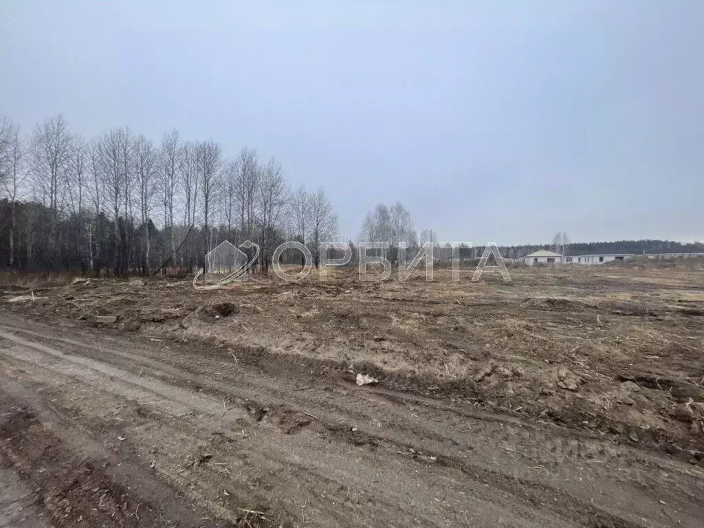 Участок в Тюменская область, Нижнетавдинский район, с. Тюнево  (10.0 ... - Фото 1
