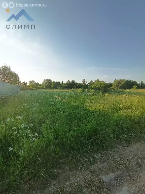 Участок в Вологодский муниципальный округ, деревня Болтино (14 м) - Фото 0