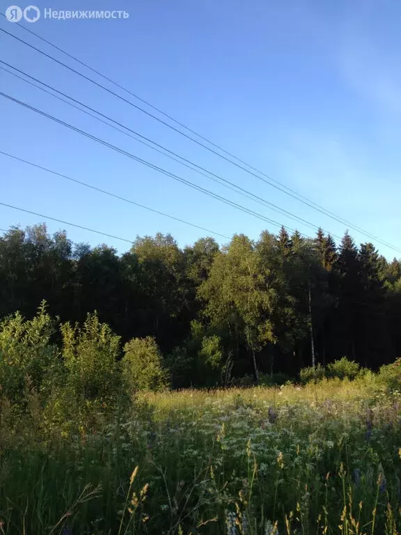 Участок в Сергиево-Посадский городской округ, садовое товарищество ... - Фото 1
