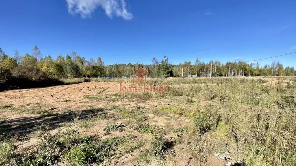 Участок в Владимирская область, Александровский муниципальный округ, ... - Фото 2