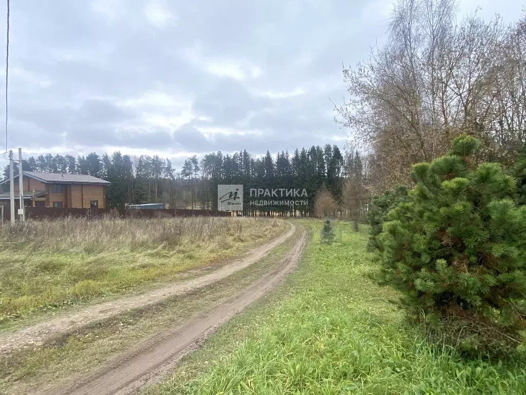 Продается участок в д. Кривцово - Фото 2