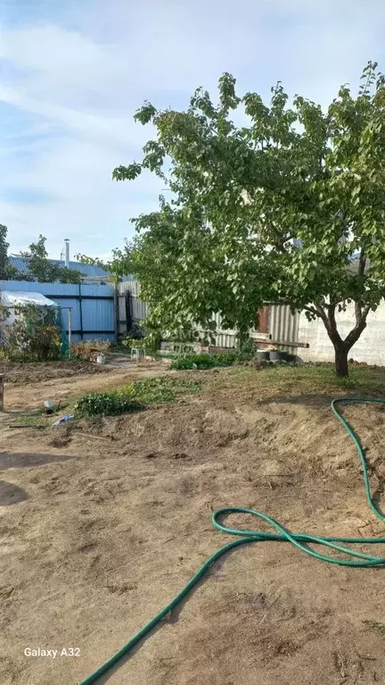 Дом в Волгоградская область, Волгоград Терновая ул. (42 м) - Фото 1