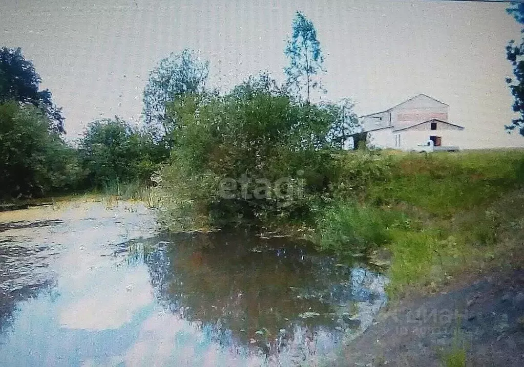 Помещение свободного назначения в Башкортостан, Стерлитамак Южная ул., ... - Фото 0