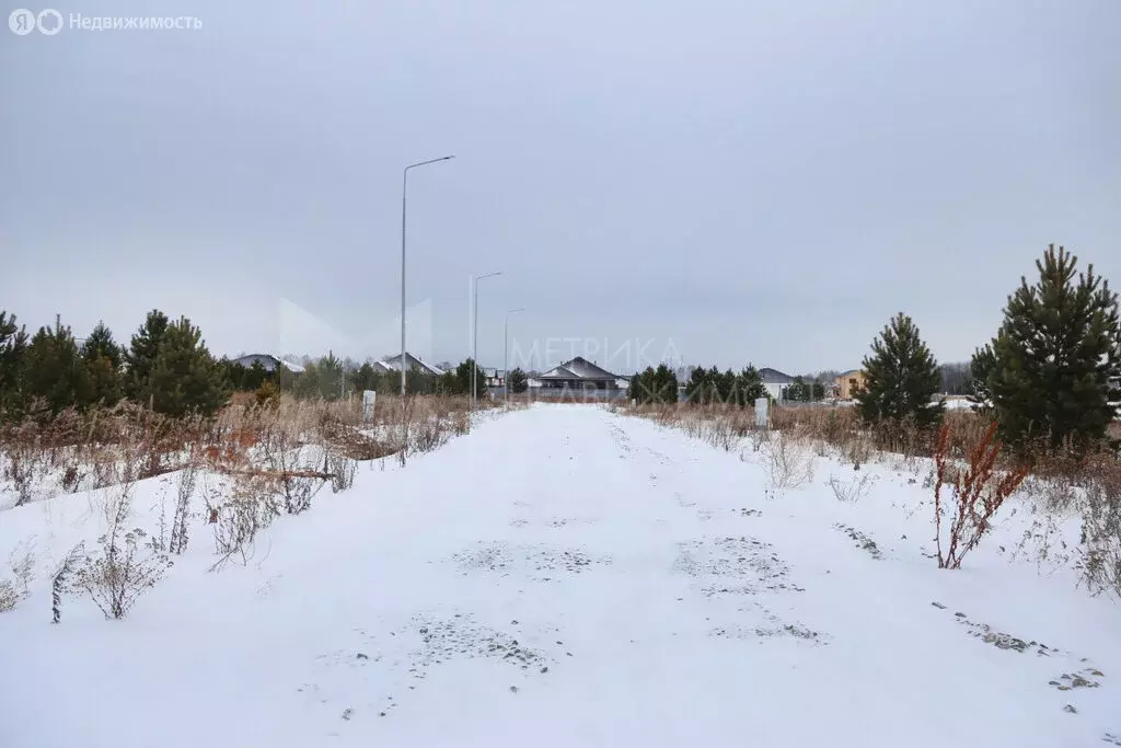 Участок в Тюмень, садоводческое некоммерческое товарищество ... - Фото 0