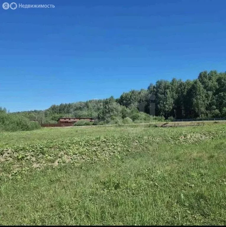 Участок в Кострома, СНТ Ручеёк (12.15 м) - Фото 2