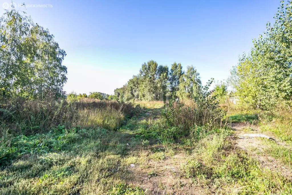 Участок в Искитим, Береговая улица (12 м) - Фото 1