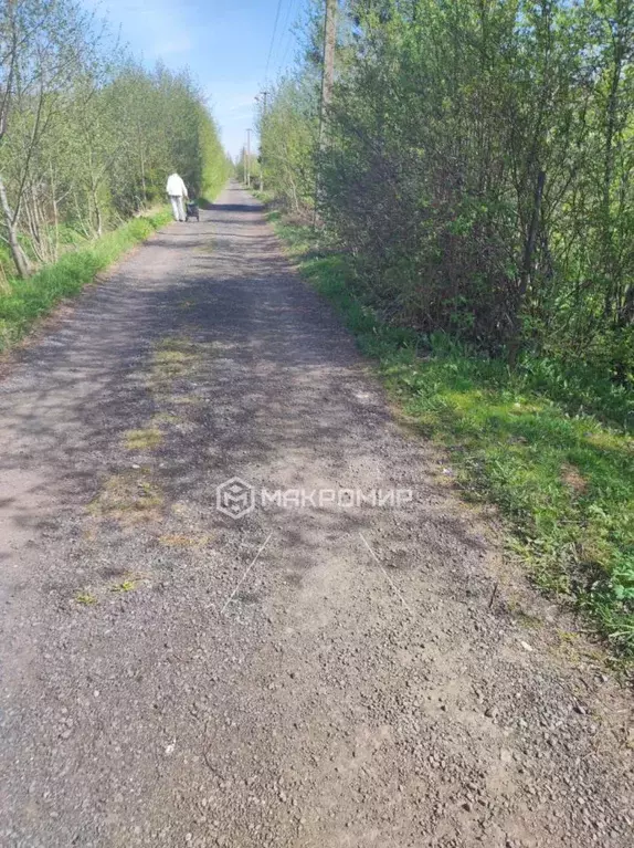 Участок в Ленинградская область, Волховский район, Кисельнинское ... - Фото 0