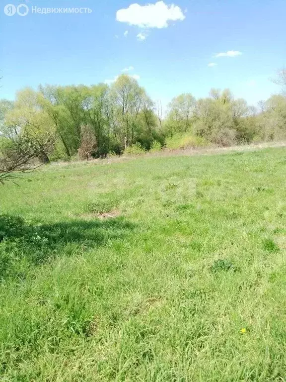 Дом в Воронежская область, рабочий посёлок Хохольский, Колхозная улица ... - Фото 2