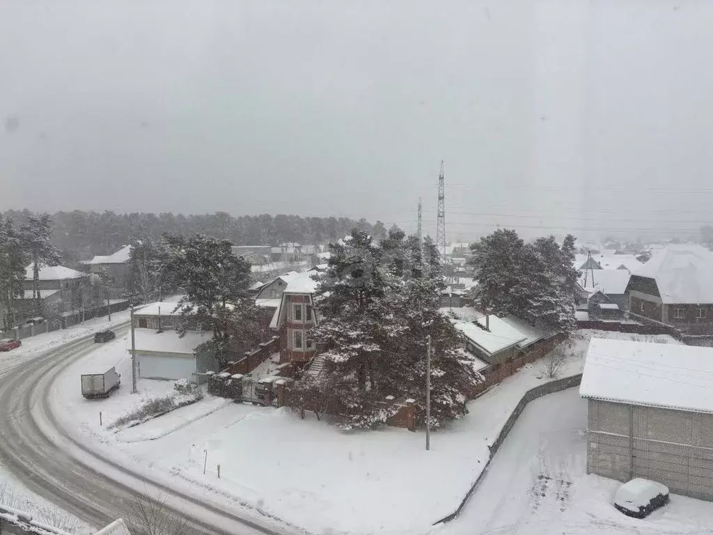 3-к кв. Алтайский край, Барнаул Краевая ул., 259 (84.0 м) - Фото 2