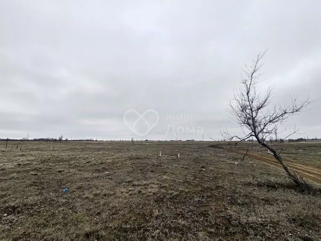 Участок в Волгоградская область, Городищенский район, Царицынское ... - Фото 0