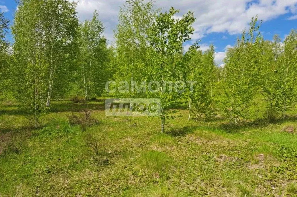 Участок в Челябинская область, Сосновский муниципальный округ, д. ... - Фото 2