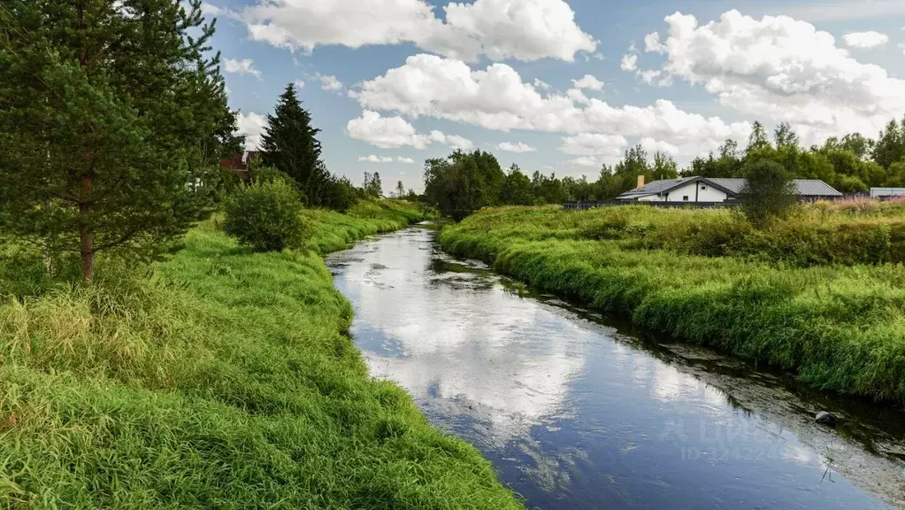 Участок в Ленинградская область, Гатчинский муниципальный округ, д. ... - Фото 2