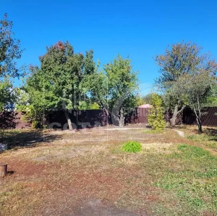 Участок в Воронежская область, Рамонский район, Айдаровское с/пос, ... - Фото 2