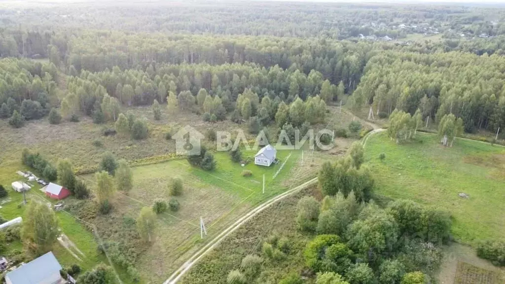 Участок в Владимирская область, Судогодский район, Головинское ... - Фото 1