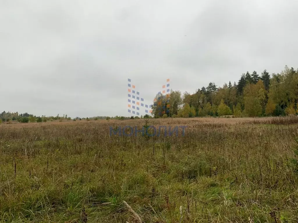 Участок в Московская область, Солнечногорск городской округ, д. Жуково ... - Фото 1