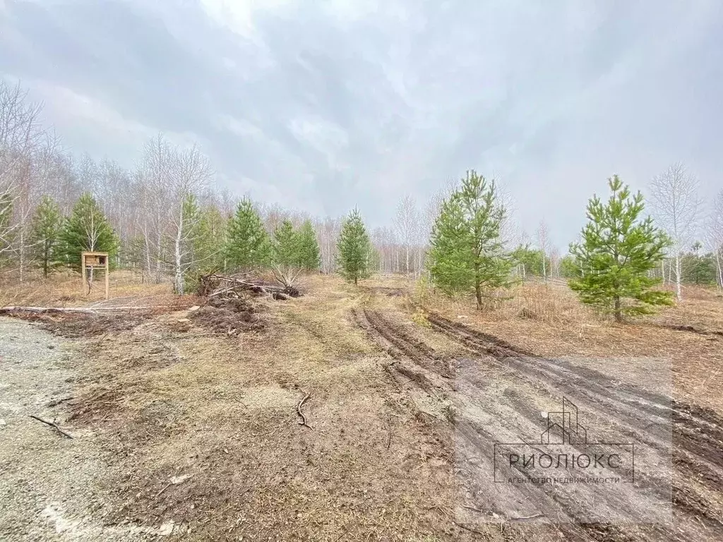 Участок в Челябинская область, Сосновский муниципальный округ, Ясное ... - Фото 0