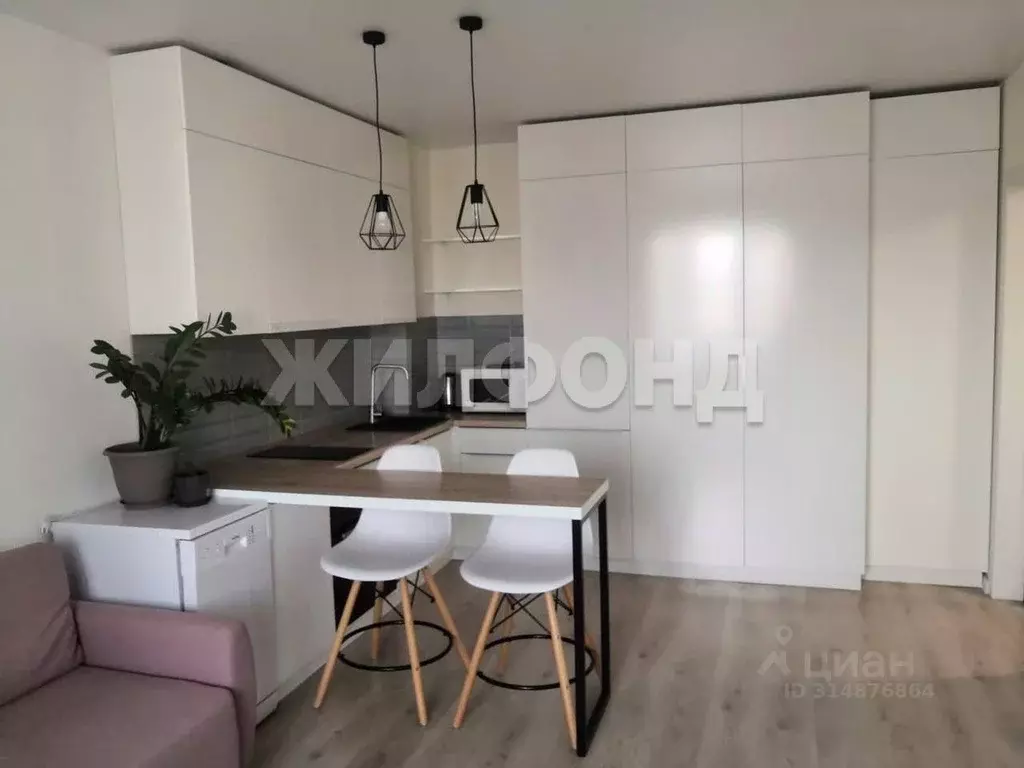 Студия Новосибирская область, Новосибирск ул. Плахотного, 53/1 (27.5 ... - Фото 0