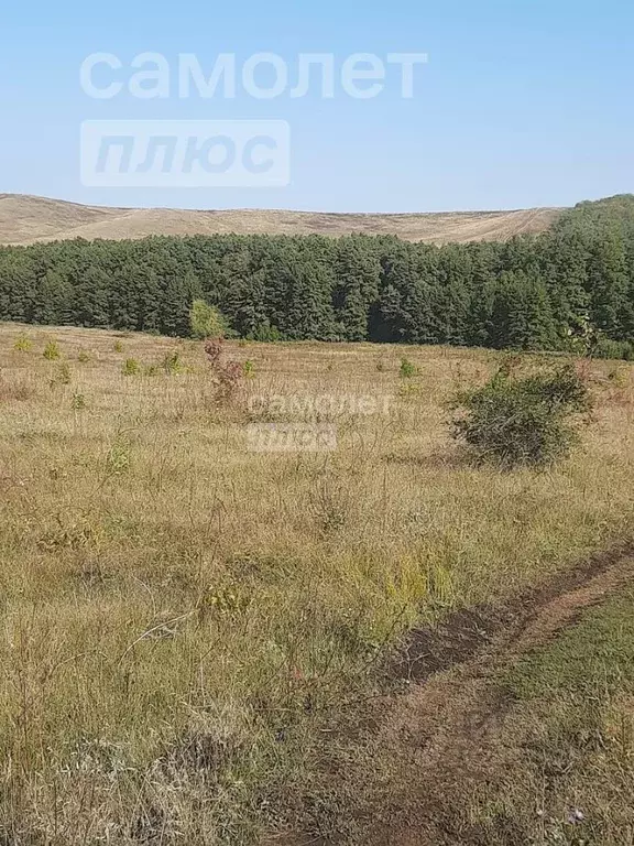 Участок в Башкортостан, Куюргазинский район, с. Ермолаево ул. ... - Фото 1