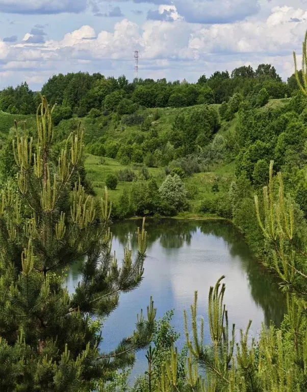 Участок в Московская область, Сергиево-Посадский городской округ, д. ... - Фото 1