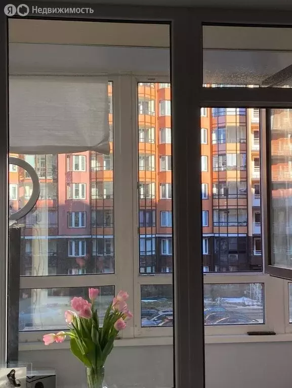 Квартира-студия: Санкт-Петербург, улица Лётчика Лихолетова, 14к2 (25.3 ... - Фото 1