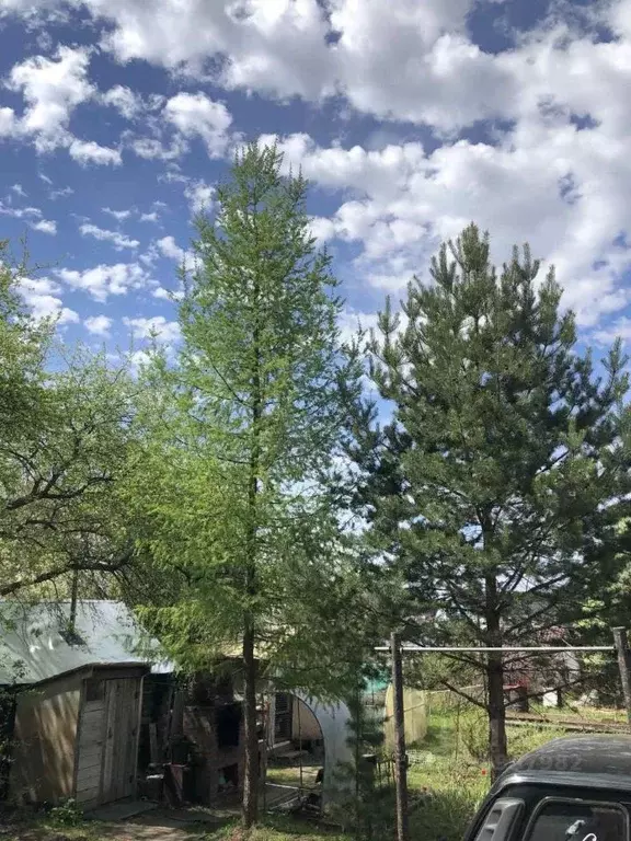 Дом в Пермский край, Добрянский городской округ, Полазна рп ул. ... - Фото 1