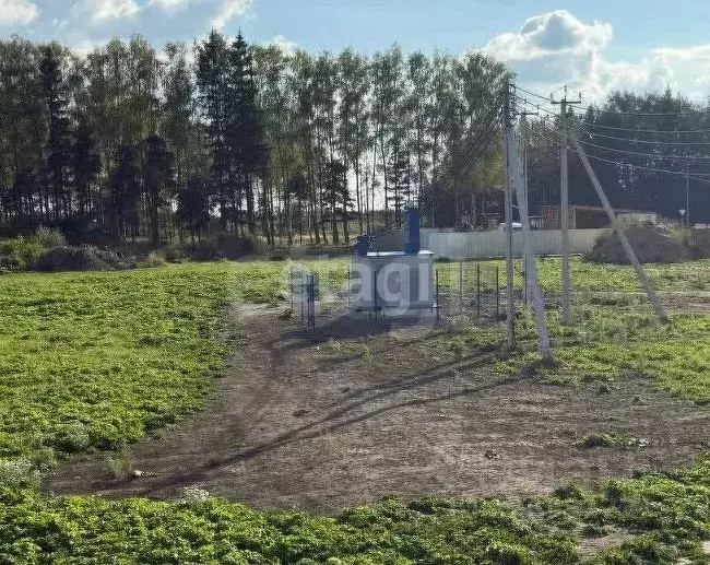 Участок в Ярославская область, Тутаевский муниципальный округ, ... - Фото 2