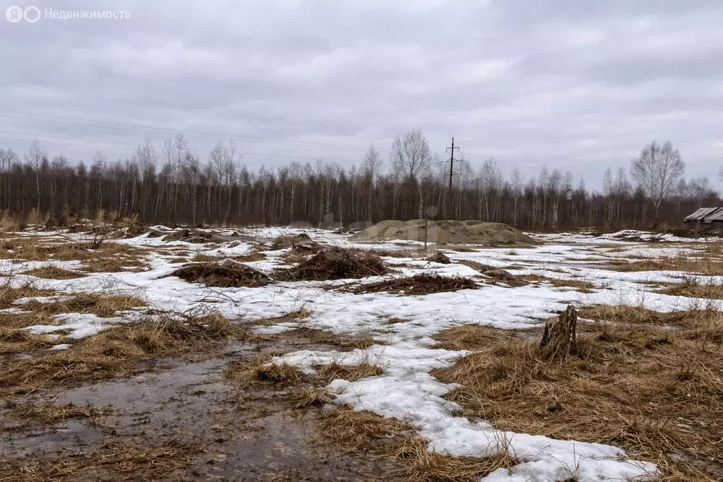 Участок в Брянск, квартал Мамоново Поле (10 м) - Фото 2