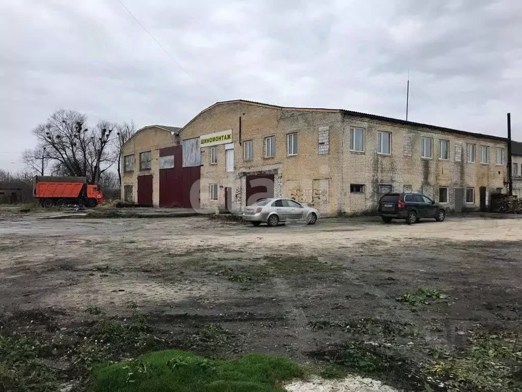 Склад в Брянская область, Погар рп ул. Вишневая, 1 (2800 м) - Фото 2