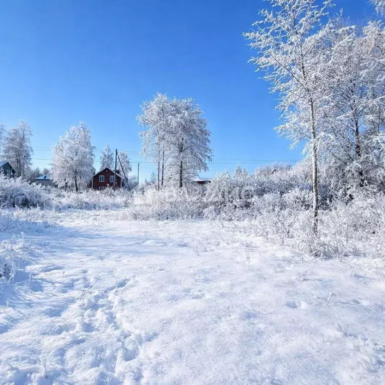 Участок в Ленинградская область, Всеволожский район, Куйвозовское ... - Фото 2