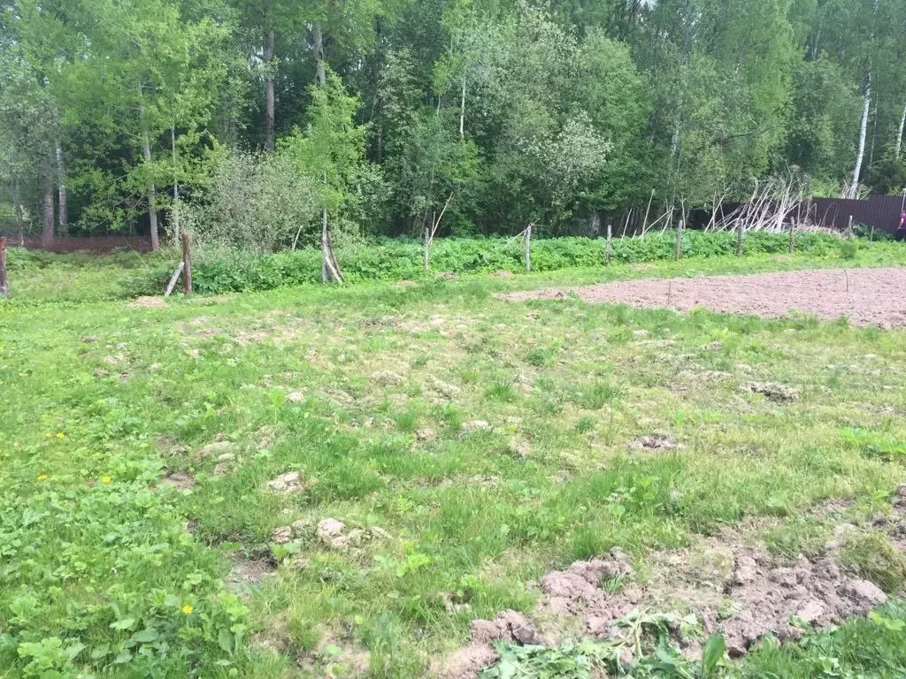 Участок в Московская область, Можайский муниципальный округ, с. ... - Фото 1