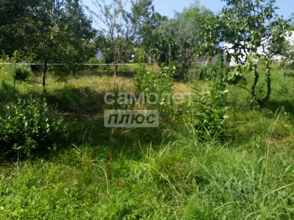 Участок в Краснодарский край, Сочи городской округ, с. Красная Воля ... - Фото 1
